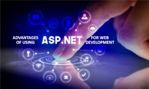 ASP.NET SaaS development