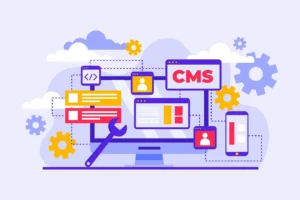 Contentful CMS Developers