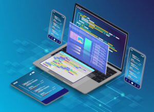 custom software development